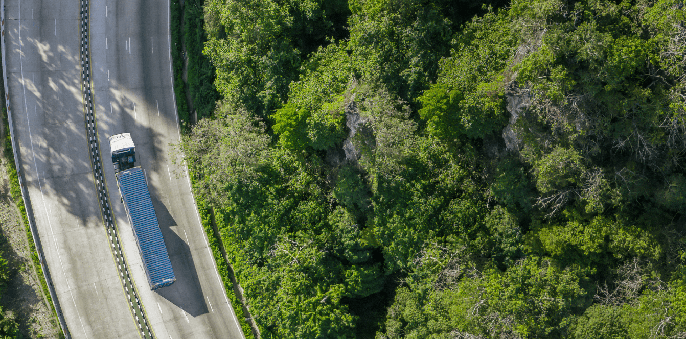 LKW auf einer Straße durch dichten Wald, Vogelperspektive — Symbolbild für Lieferketten-Emissionen und CDP Klima-Reporting
