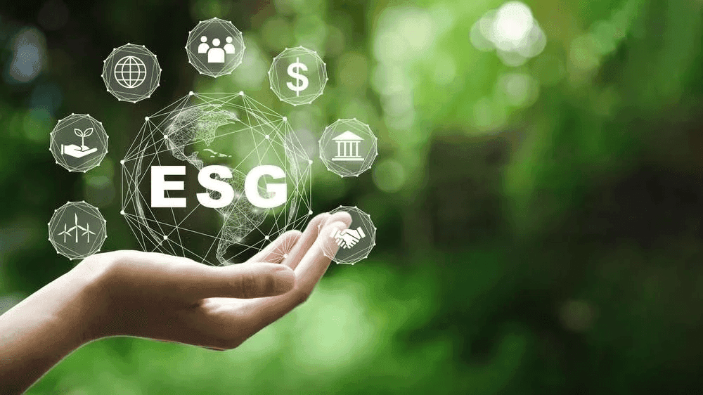 ESG Ratings & SAQ 5.0